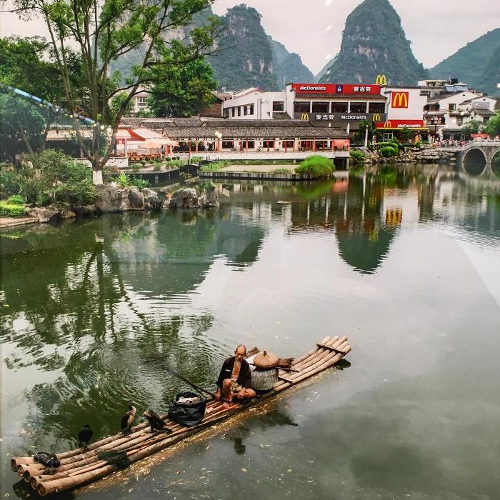 YANGSHOU elizabethavedon