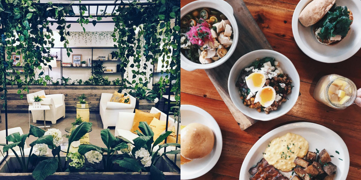 14 Deliciously Healthy Restaurants to Help You Start Your Diet