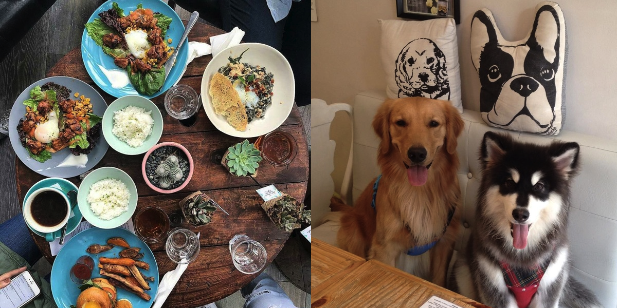 19 Pet-Friendly Restaurants in Manila to Bring Your Furry Friend
