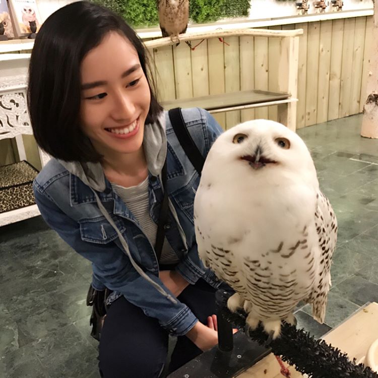 Lucky Owl Cafe