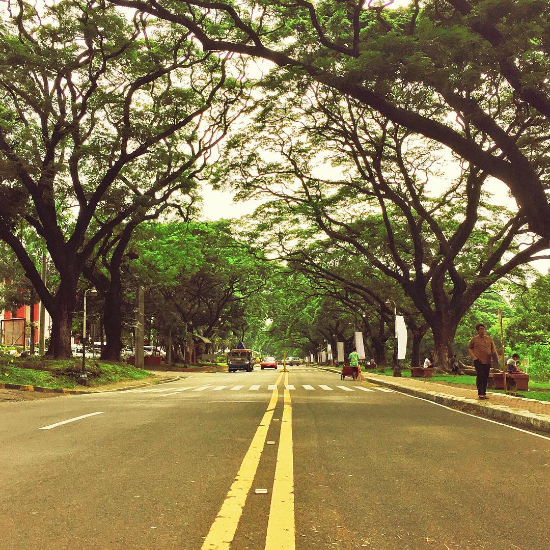 UP Diliman