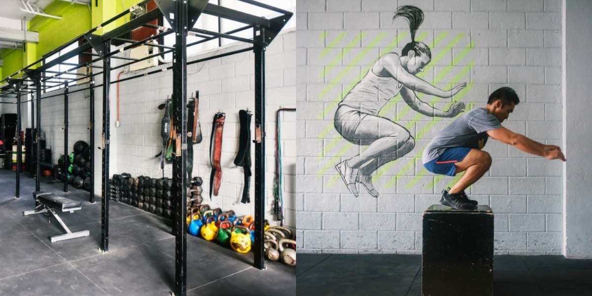 Alpha Strike will help you achieve your dream guns through crossfit