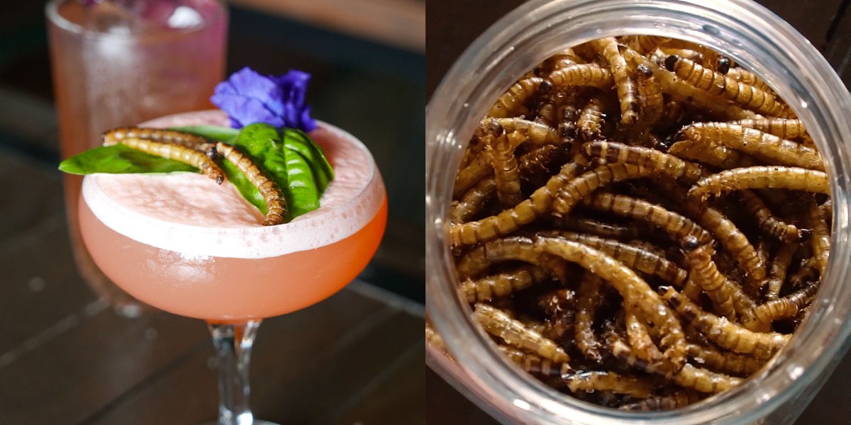 Creepy, crawly cocktails at WYLD Kitchen x Bar (VIDEO)