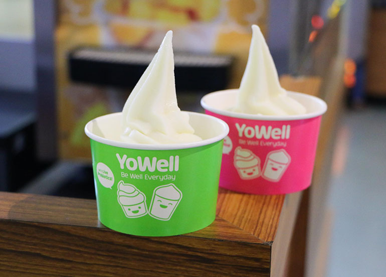 Plain Yogurt Small from YoWell