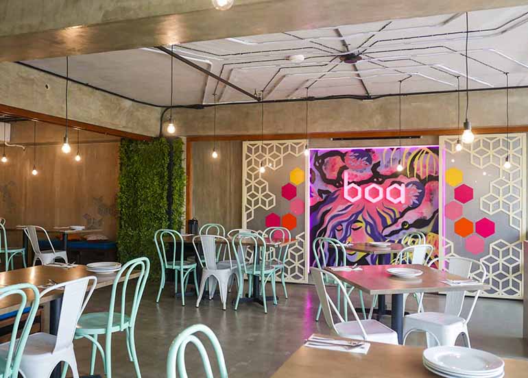 BOA Kitchen + Socials Interiors