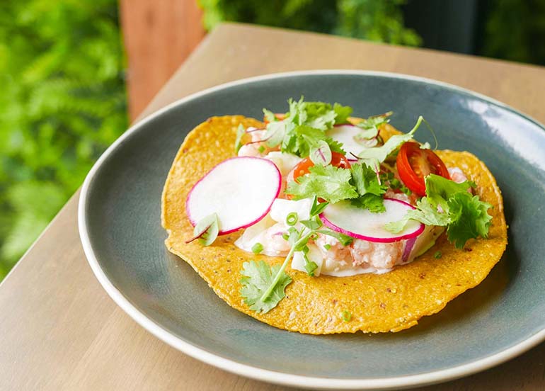 Shrimp Tostadas from BOA Kitchen and Socials