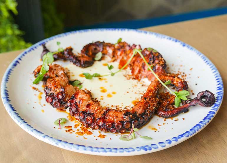 Grilled Octopus from BOA Kitchen + Socials