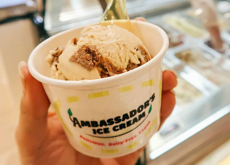 Amabassador's Ice Cream Scoop