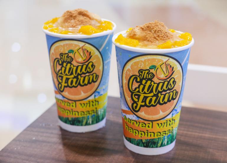 the citrus farm mango graham drink