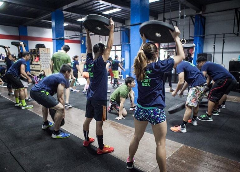 MNLFit Fort