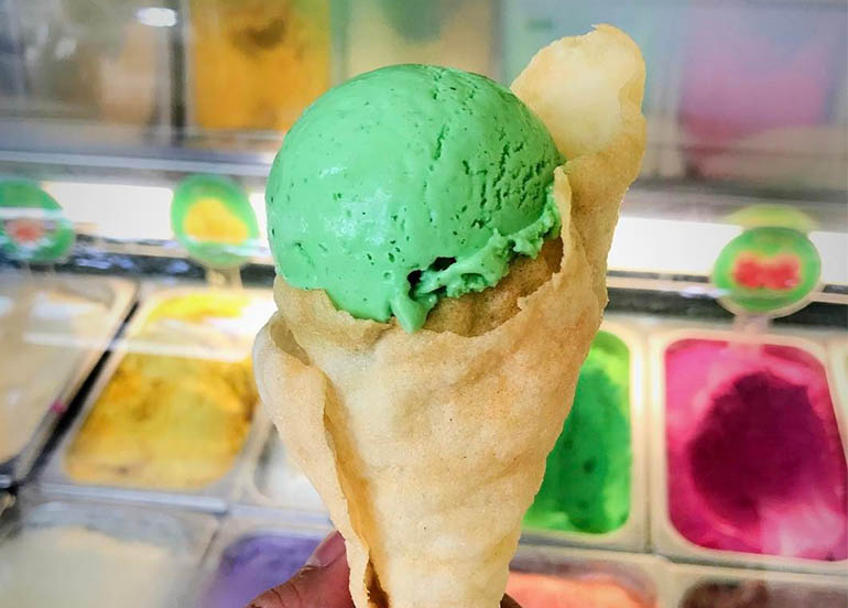 Malunggay Ice Cream from Bohol Bee Farm Resort and Restaurant