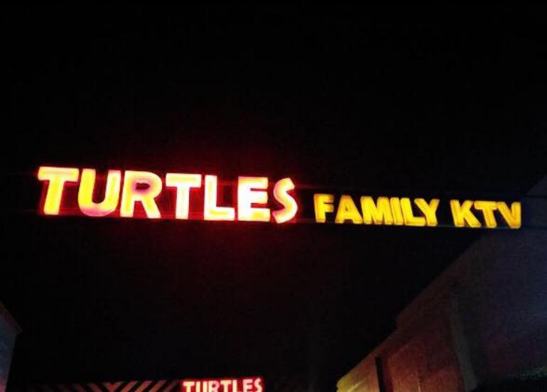 turtles family ktv, karaoke, videoke, karaoke songs, ktv, ktv bar