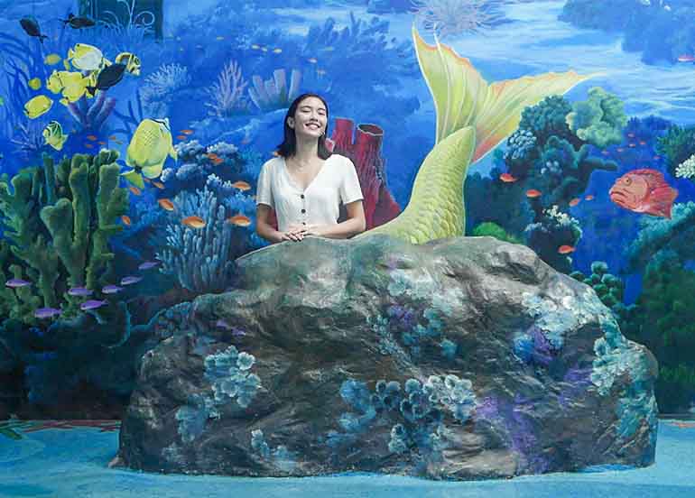 Mermaid Aqua Zone Art in Island