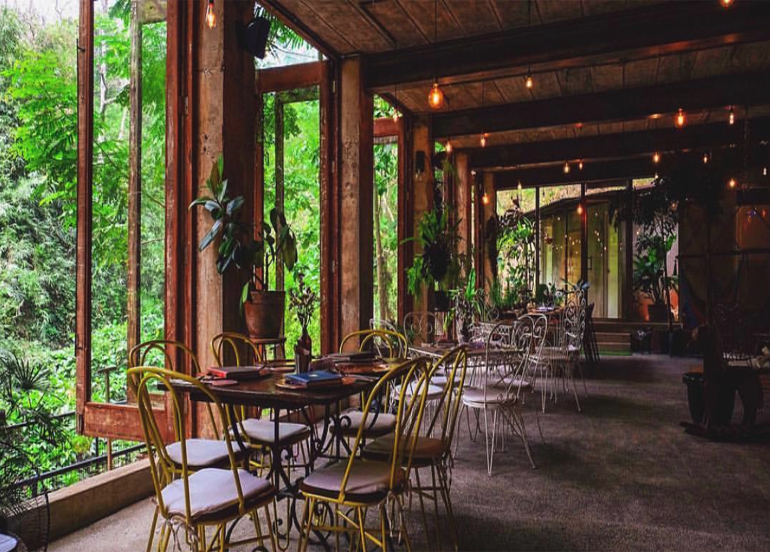 Interior of Burrow Cafe at Antipolo Beehouse