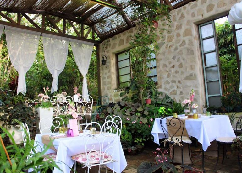 marcia-adams-interiors