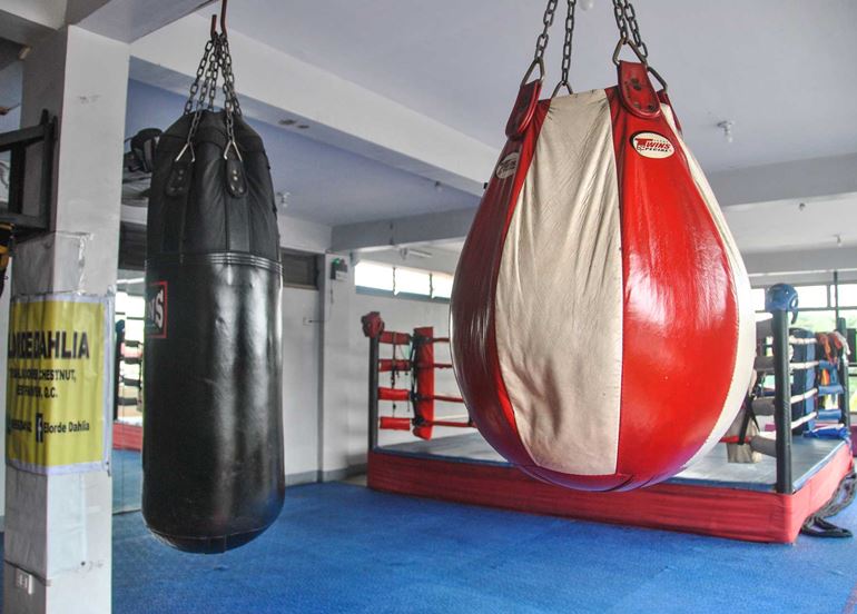 Elorde Boxing Gym Punching Bag