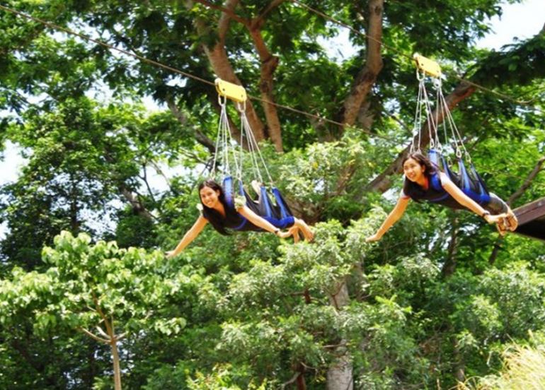 zoobic-zip-line