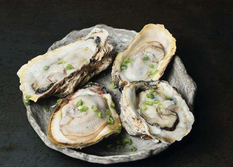 oysters