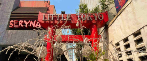 Take your tastebuds on a trip to Japan at Little Tokyo in Makati