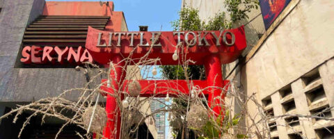 The Best Japanese Restaurants to Try at Little Tokyo, Makati