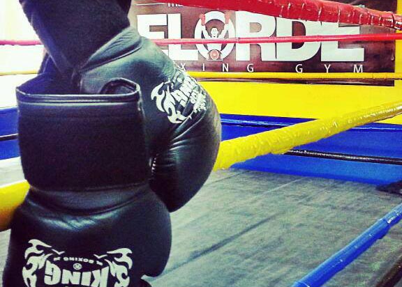 elorde-top-team-boxing-gloves