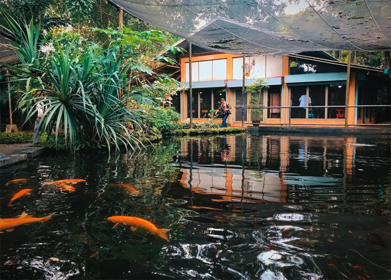 Crescent Moon CafÃ© Garden and Fish Pond