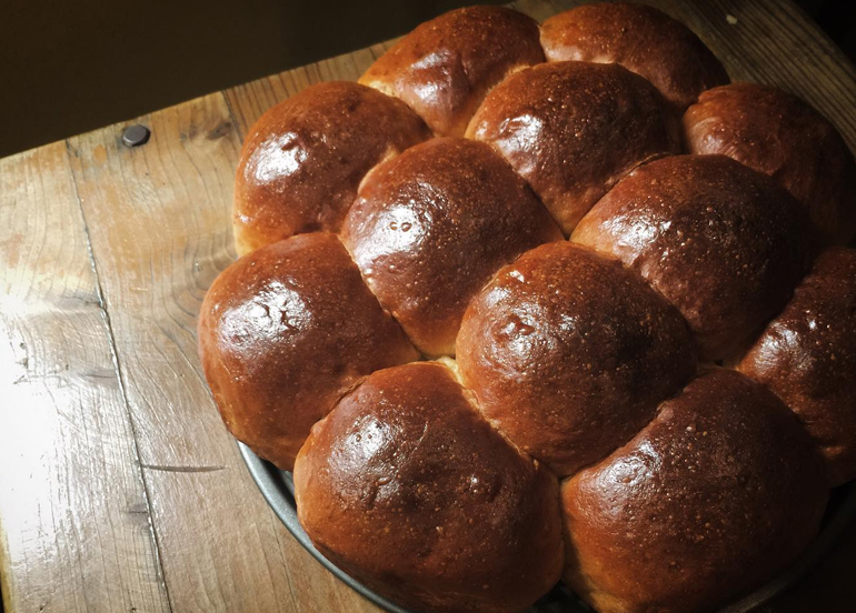 bread from Terror Yeasts