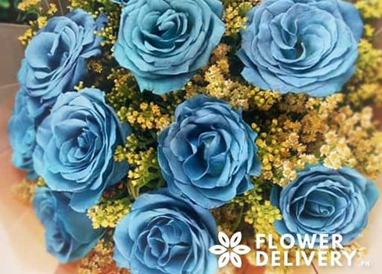 Blue roses, Flower delivery.ph