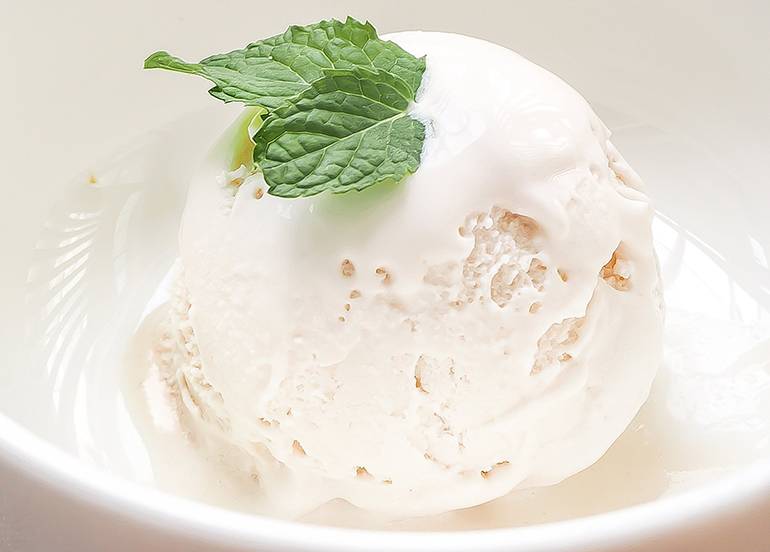 One Healthy Place Coconut Ice Cream