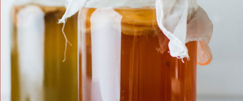 Kombucha 101: Booch Brewing Basics