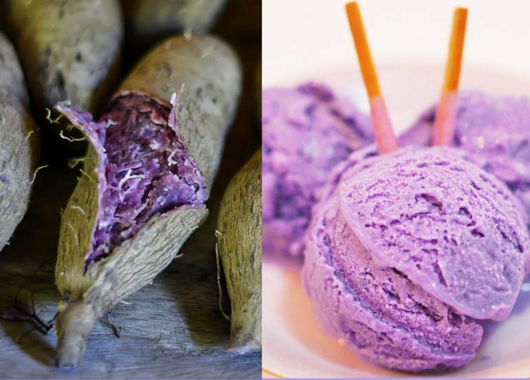 geno's ice cream, ube