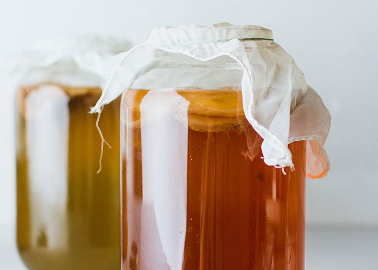 Kombucha Scoby in Jar