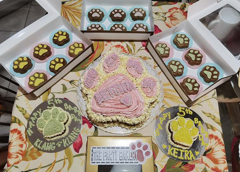 Pawty Bakery Pet Cakes and Cupcakes