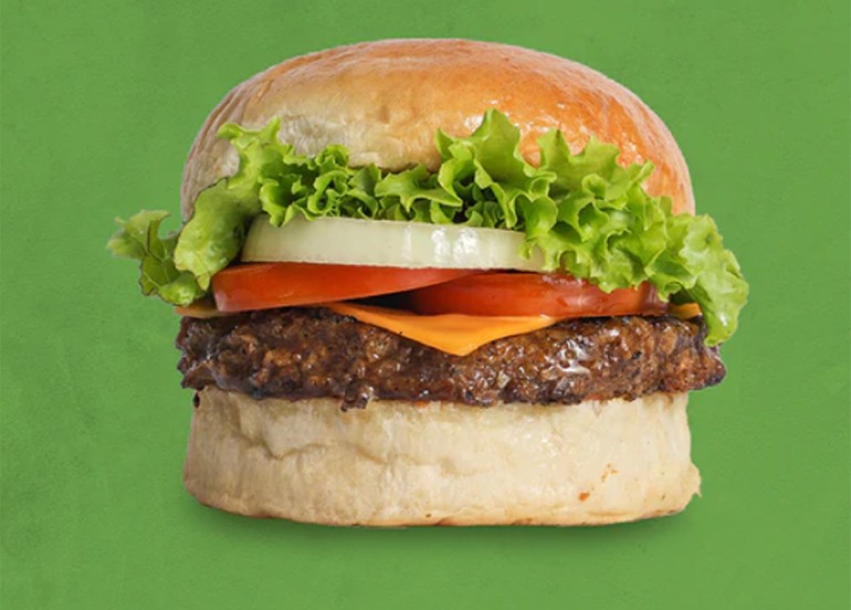 brothers veggie burger plant based