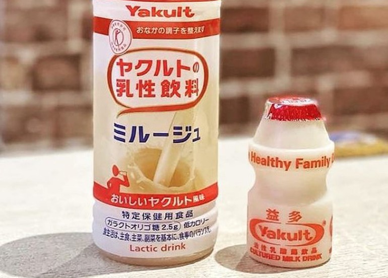 yakult lactic probiotic drink 500 ml