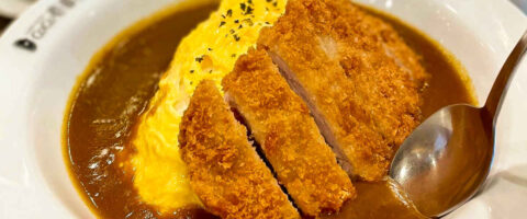 Where to Get Japanese Curry in the Metro