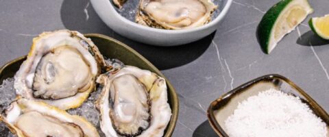 Where to Get the Best Fresh Oysters in the Metro