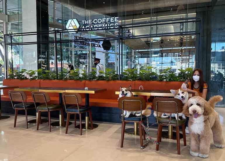 The Coffee Academics Branch at Molito Alabang