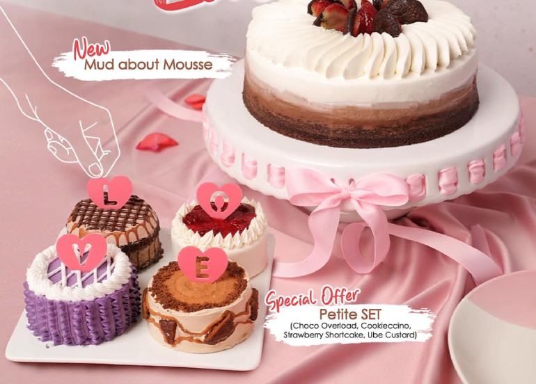 conti's petite set mud about mousse cake
